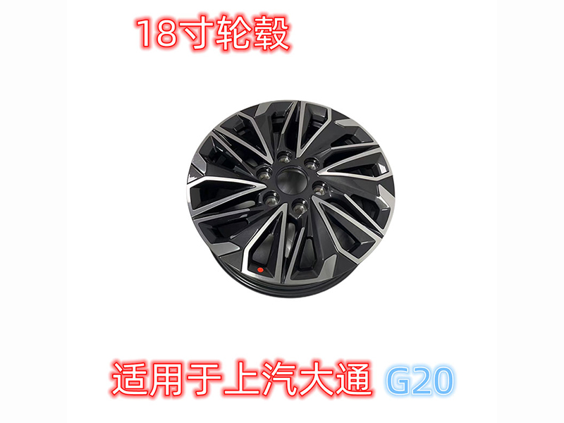 G20 18݆ݞ
